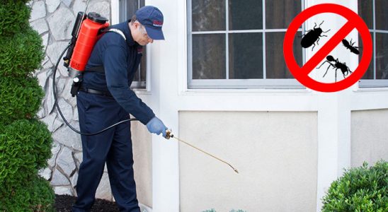 Yenimahalle Akrep İlaçlama böcek ilaçlama ve haşere kontrolü — ilaclama-tr.com